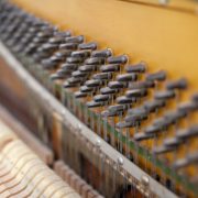 Understanding The Anatomy Of A Piano: Parts And Functions